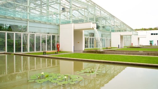 สวนพฤกษชาติ Padua เนื้อเรื่องที่ สวนสาธารณะ, บ่อน้ำ และ น้ำพุ