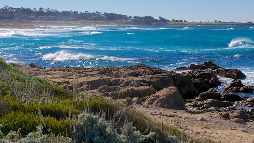 Asilomar State Beach เนื้อเรื่องที่ ชายฝั่งหิน, วิวทิวทัศน์ และ ชายฝั่งทะเล