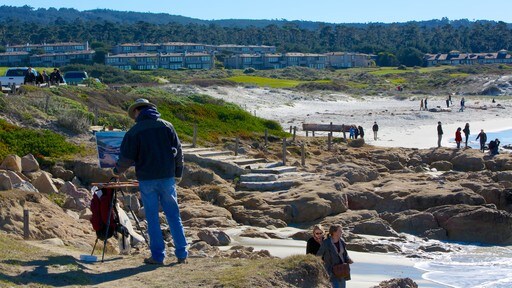 Asilomar State Beach ซึ่งรวมถึง เมืองหรือหมู่บ้านเล็กๆ, วิวทิวทัศน์ และ ชายฝั่งขรุขระ