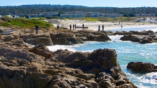 Asilomar State Beach เนื้อเรื่องที่ ทิวทัศน์เขตร้อน, วิวทิวทัศน์ และ เมืองชายฝั่ง