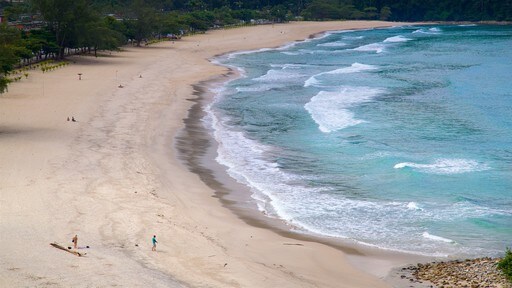 Praia Brava toont algemene kustgezichten en een zandstrand