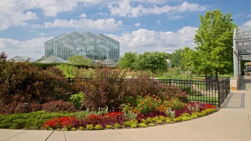Frederik Meijer Gardens and Sculpture Park which includes wild flowers and a garden