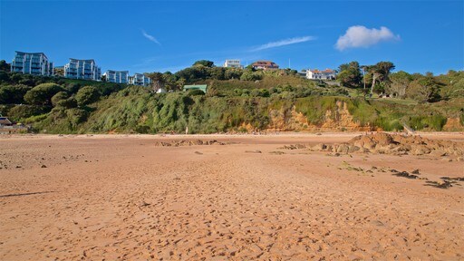 Jersey which includes a sandy beach and general coastal views