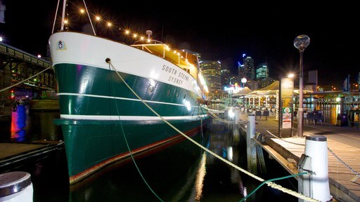 Darling Harbour เนื้อเรื่องที่ วิวกลางคืน, เรือเฟอร์รี และ ท่าจอดเรือ