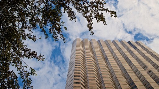 Dallas bevat hoogbouw en moderne architectuur