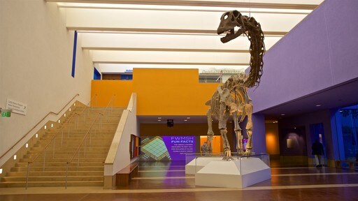 Museum voor Wetenschap en Geschiedenis van Fort Worth bevat historisch erfgoed en interieur