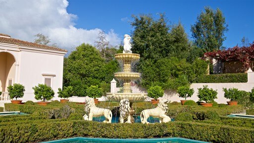 Hamilton Gardens which includes a park and a fountain