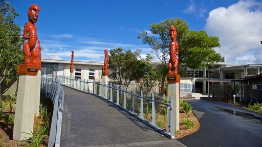 Te Puia New Zealand Maori Arts and Crafts Institute which includes outdoor art