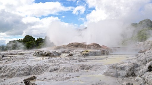สถาบันศิลปะและหัตถกรรม Te Puia New Zealand Maori แสดง น้ำพุร้อน และ หมอก