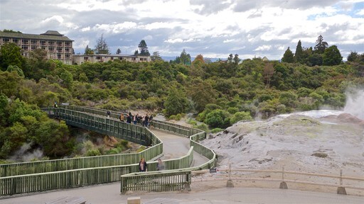 สถาบันศิลปะและหัตถกรรม Te Puia New Zealand Maori ซึ่งรวมถึง น้ำพุร้อน, หมอก และ สะพาน