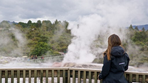 สถาบันศิลปะและหัตถกรรม Te Puia New Zealand Maori ซึ่งรวมถึง หมอก, น้ำพุร้อน และ ทิวทัศน์