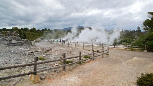 สถาบันศิลปะและหัตถกรรม Te Puia New Zealand Maori ซึ่งรวมถึง หมอก และ น้ำพุร้อน