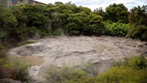 สถาบันศิลปะและหัตถกรรม Te Puia New Zealand Maori เนื้อเรื่องที่ น้ำพุร้อน