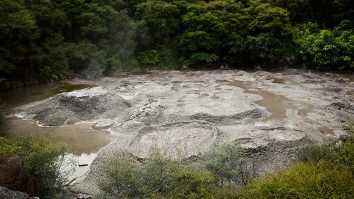 สถาบันศิลปะและหัตถกรรม Te Puia New Zealand Maori ซึ่งรวมถึง น้ำพุร้อน