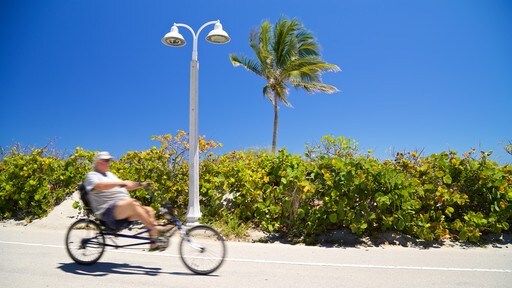 Hollywood North Beach Park som inkluderar cykling såväl som en man