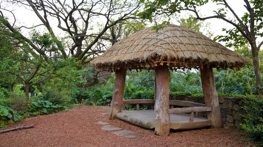 Seogwipo bevat een park