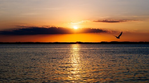 Ocean City toont een zonsondergang en algemene kustgezichten