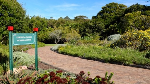 Kirstenbosch National Botanical Garden which includes signage, landscape views and a park