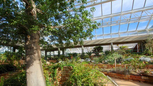 Kirstenbosch National Botanical Garden which includes a garden and interior views