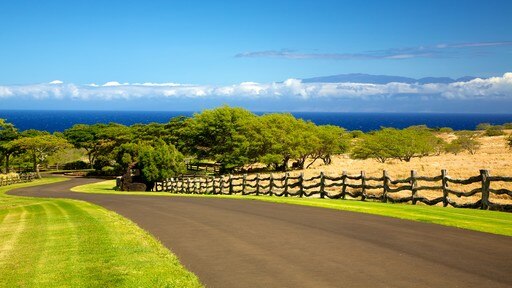 Kohala Coast - Waikoloa แสดง ทิวทัศน์เขตร้อน และ ชายฝั่งทะเล