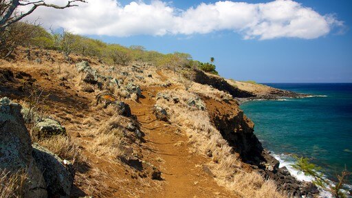 Kohala Coast - Waikoloa ซึ่งรวมถึง วิวทิวทัศน์ และ ชายฝั่งขรุขระ