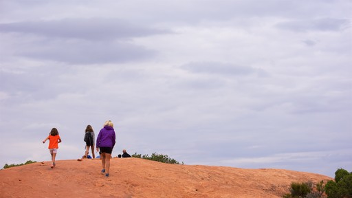Upheaval Dome bevat hiken of wandelen en vredige uitzichten en ook een gezin