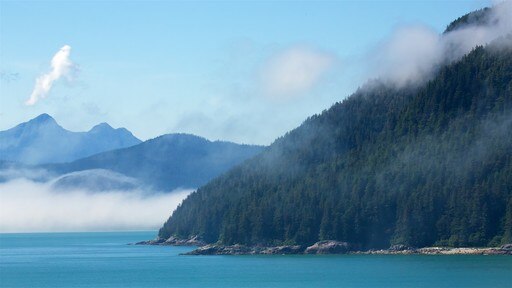 Fjord Tracy Arm