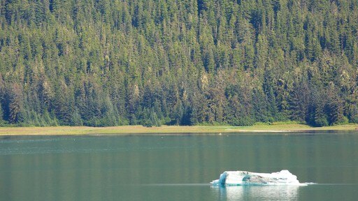 Tracy Arm som inkluderar en sjö eller ett vattenhål och skogslandskap