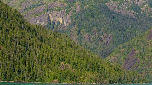 Fjord Tracy Arm