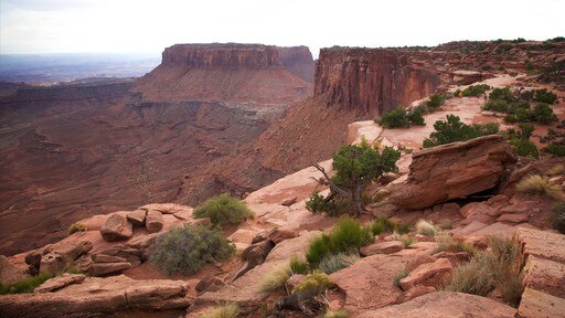 Grand View Point Trailhead yang mencakup ngarai dan pemandangan lanskap