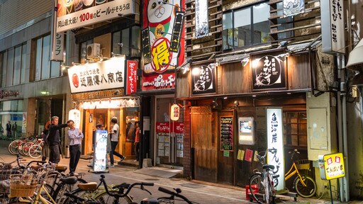 Japan showing signage, street scenes and night scenes
