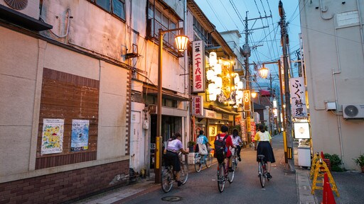 Beppu que inclui ciclismo e cenas noturnas assim como um pequeno grupo de pessoas