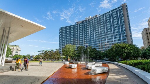 Dallas inclusief straten, een stad en een fontein