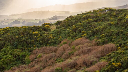 Akaroa inclusief vredige uitzichten