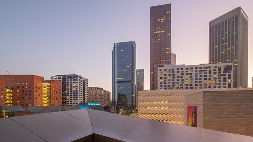 Los Angeles stadskärna som inkluderar en stad och en solnedgång