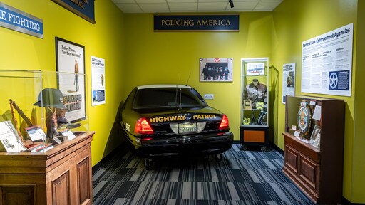 Pigeon Forge bevat interieur