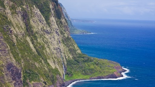 Hamakua Heritage Corridor bevat ruige kustlijn en algemene kustgezichten