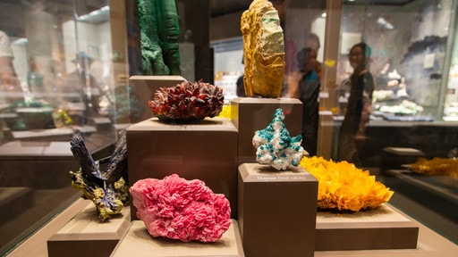 National Museum of Natural History toont interieur
