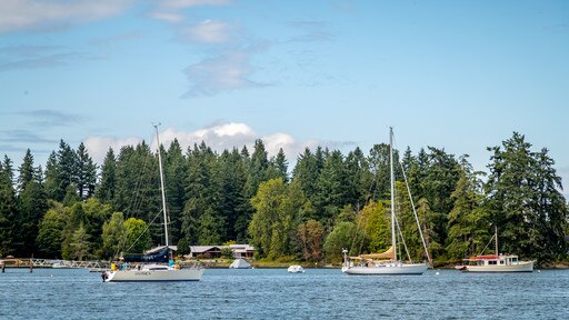 Bainbridge Island toont een baai of haven