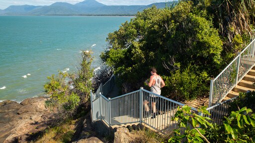 Port Douglas toont algemene kustgezichten en ook een man
