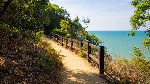 Port Douglas bevat algemene kustgezichten