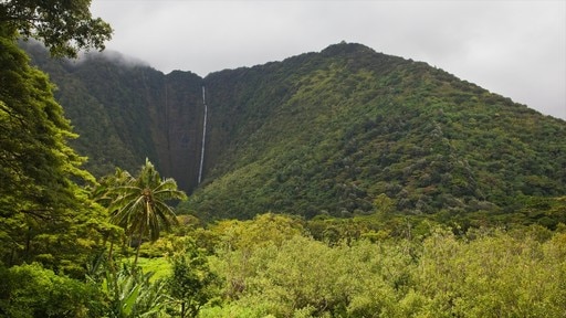 Hawaï inclusief landschappen, regenwoud en bergen