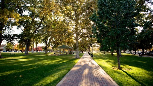 Central Coast California showing a park