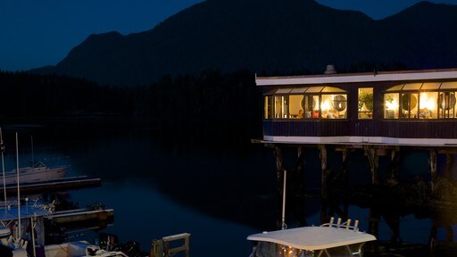 Tofino featuring a coastal town and night scenes