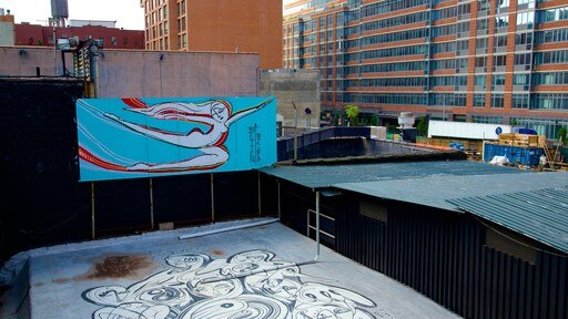 The High Line Park toont kunst in de open lucht en een stad