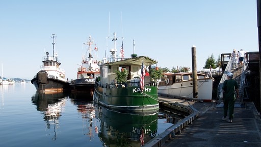 Olympia which includes boating and a bay or harbour