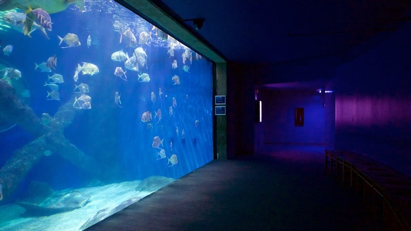 Marine Science Museum Va Beach Marine Science Museum Va Beach