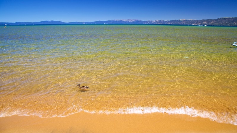Hotels Near Homewood Tahoe Hotels Near Homewood Tahoe