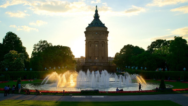 Lupinenstraße mannheim bilder