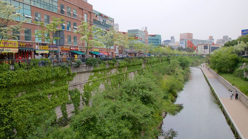 Gwangjang Traditional Market Pictures: View Photos & Images of ...